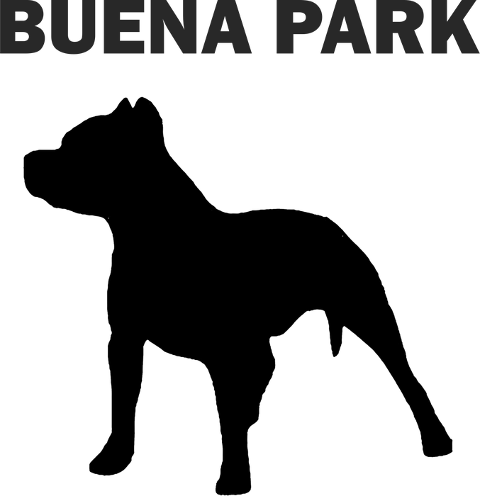 Custom Buena Park t-shirt design preview