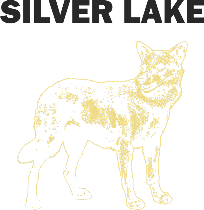 Custom Silver Lake t-shirt design preview