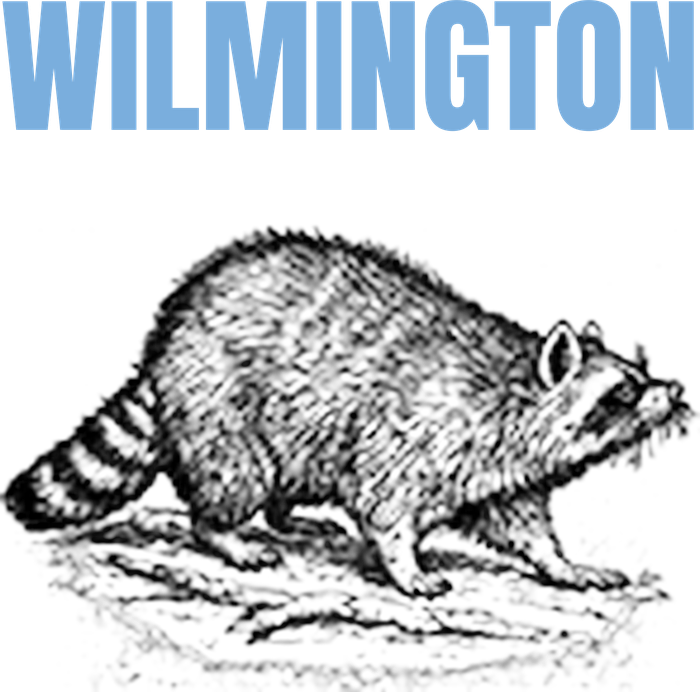 Custom Wilmington t-shirt design preview