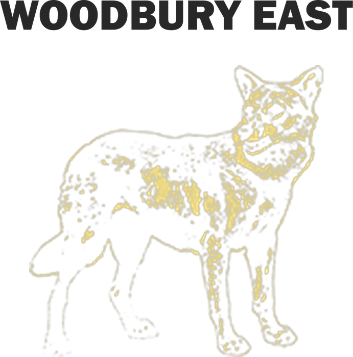 Custom Woodbury East t-shirt design preview